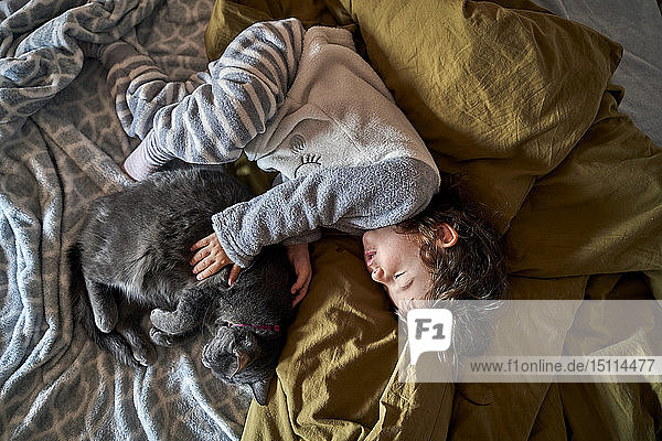 Kleinkind Mädchen und graue Katze schlafen auf Bett  Draufsicht