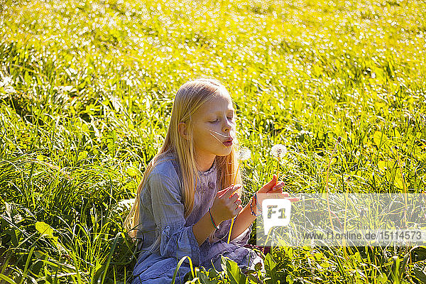 Mädchen sitzt mit Pusteblume auf dem Feld