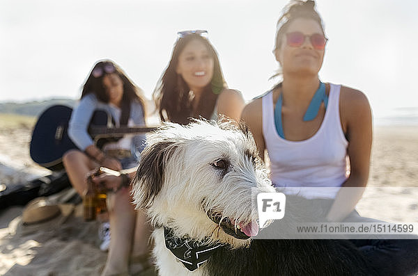 Drei Frauen mit Hund und Gitarre am Strand