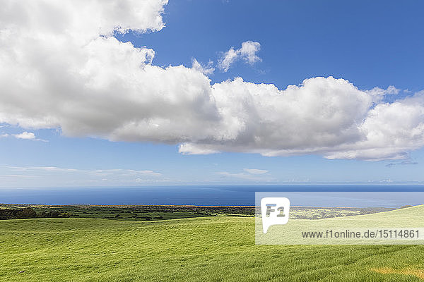 USA  Hawaii  Big Island  Blick über den Kohala-Berg