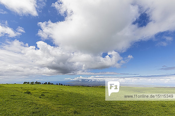 Blick entlang des Haleakala-Highways  Haleakala-Nationalpark  Maui  Hawaii  USA