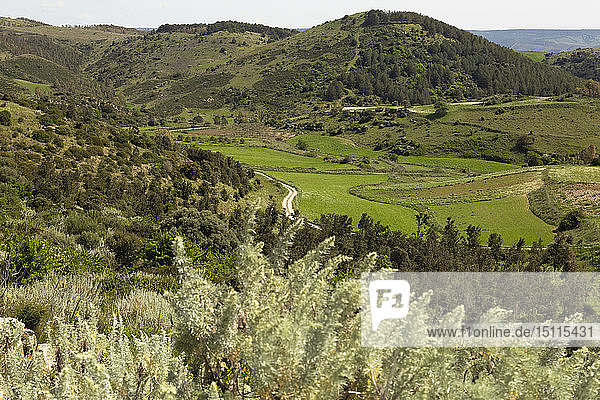 Italien  Sardinien  Blick über die Landschaft bei Pompu