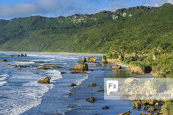 The untouched west coast of the South Island between Greymouth and Westport  New Zealand