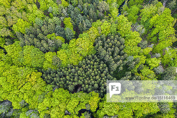 Deutschland  Baden-Württemberg  Schwäbischer Wald  Luftaufnahme