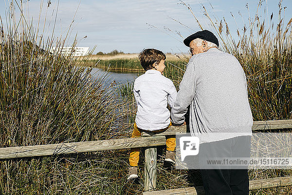 Rückenansicht eines kleinen Jungen und seines Großvaters  die sich gegenseitig ansehen