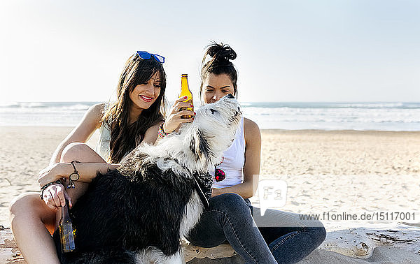 Zwei Frauen mit Hund und Bierflaschen am Strand