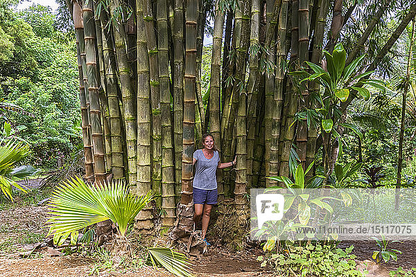 Weibliche Touristin steht zwischen Bamboo  Maui  Hawaii  USA
