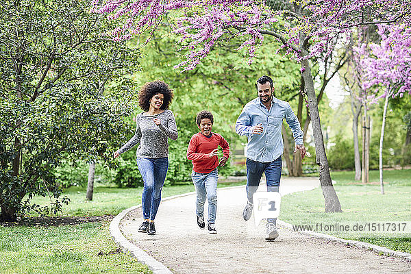 Glückliche Familie beim Laufen und Spielen in einem Park