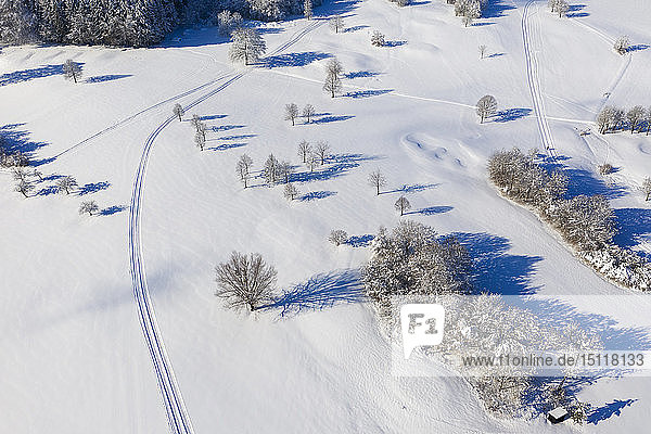 Deutschland  Bayern  Wolfratshausen  Loipe in der Nähe des Golfplatzes im Winter  Luftaufnahme