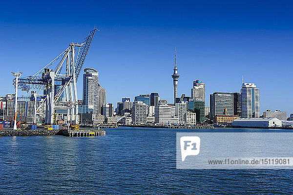 Skyline von Auckland  Neuseeland