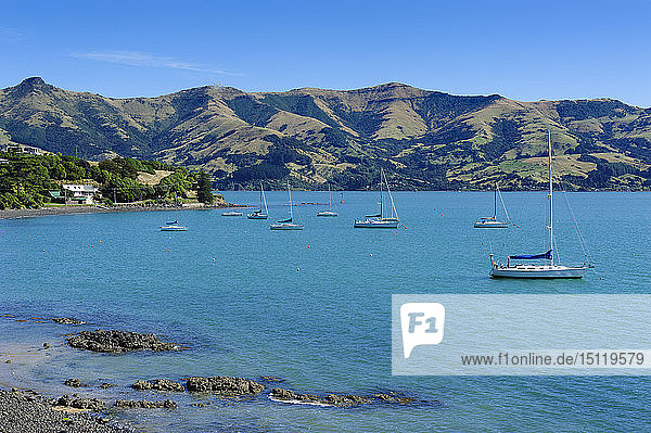 Segelboote im Hafen von Akaroa  Halbinsel Banks  Südinsel  Neuseeland