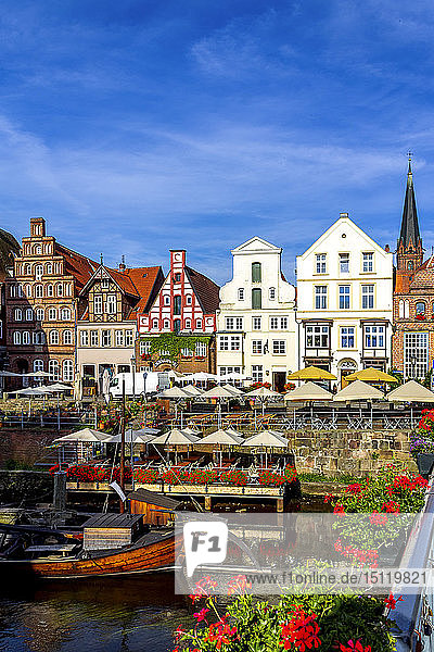 Giebelhäuser und Fachwerkhäuser am Stint-Markt  Lüneburg  Deutschland