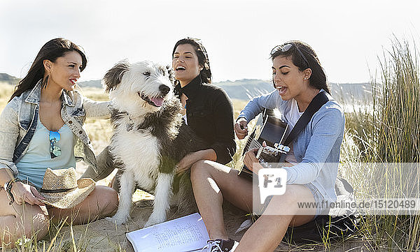 Junge Frau mit Freunden und Hund spielt Gitarre am Strand