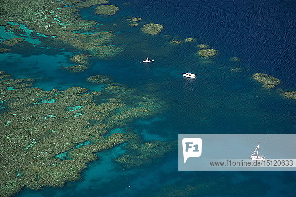 Luftaufnahme des Grossen Barriereriffs  Queensland  Australien
