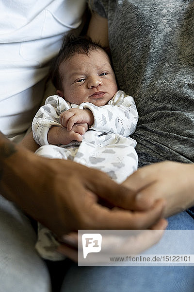 Portrait of newborn baby between his parents