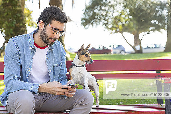Young man sitting on park bench with his dog using smartphone