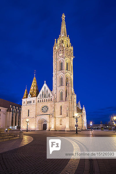 Matthiaskirche bei Nacht  Budaer Burgberg  Budapest  Ungarn  Europa