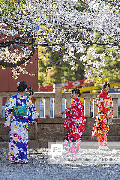 Women in kimonos  Sensoji Temple  Asakusa  Tokyo  Japan  Asia