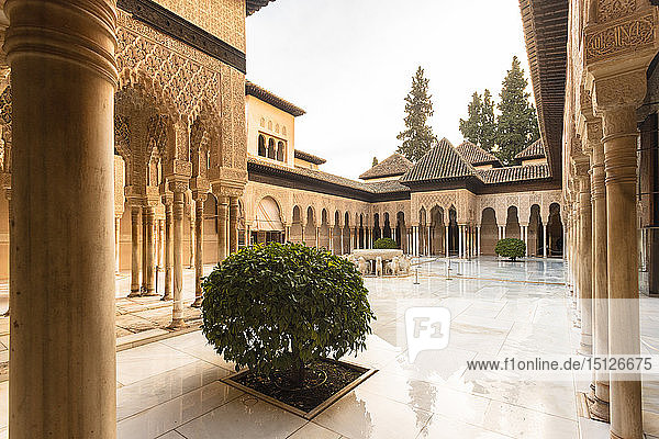 Löwenhof im Nasridenpalast  die Alhambra  UNESCO-Weltkulturerbe  Granada  Andalusien  Spanien  Europa