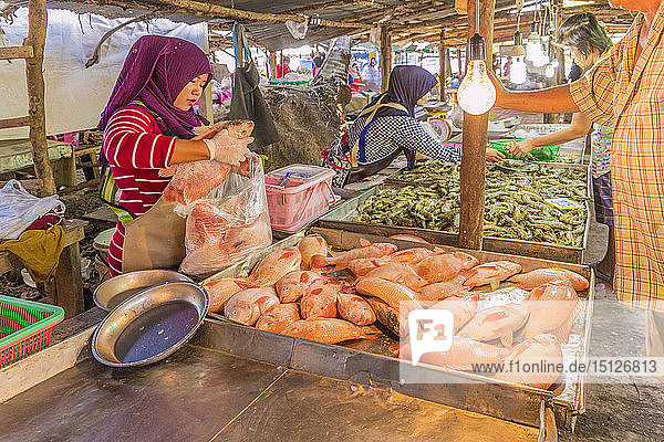 Frische Meeresfrüchte zum Verkauf auf dem lokalen Markt in Ao Nang  Provinz Krabi  Thailand  Südostasien  Asien