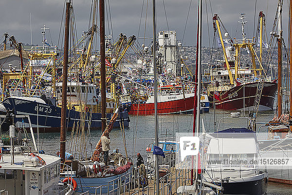 Boats tied up in the busy harbour at Brixham  Torbay  Devon  England  United Kingdom  Europe
