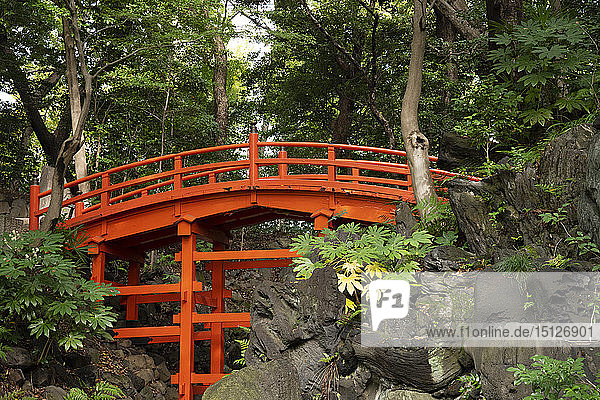 The famous red painted Tsutenkyo Bridge in Koshikawa Korakuen Garden Tokyo Honshu Japan Asia