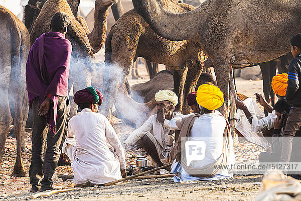 Camel herders at the Pushkar Camel Fair Pushkar Rajasthan India Asia