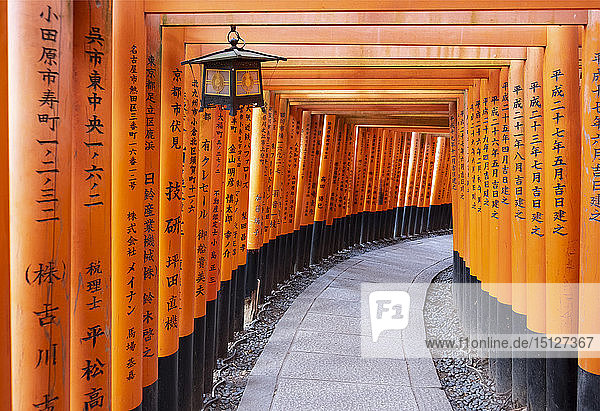 Red Gates at the Fushimi Inari Taisha a Shinto shrine on Mount Inari Kyoto Arashiyama Japan Asia