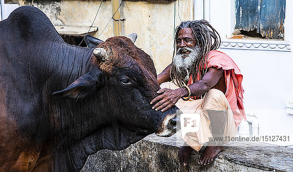 Ein einheimischer Mann und ein Büffel in Udaipur  Rajasthan  Indien  Asien