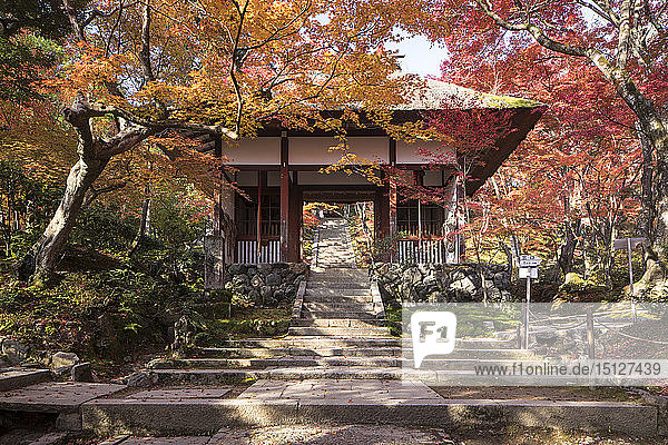 Autumn color in Jojakko-ji Temple in Arashiyama  Kyoto  Japan  Asia