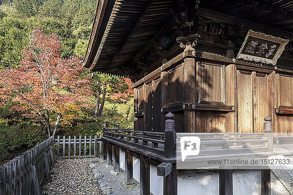 Autumn color in Jojakko-ji Temple in Arashiyama  Kyoto  Japan  Asia