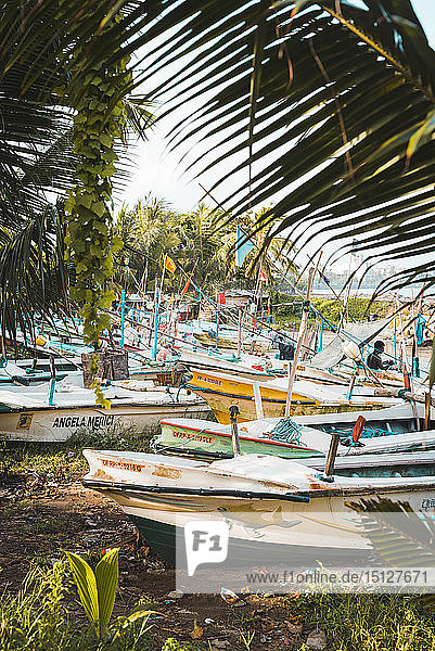 The fishing boats at Galle  Sri Lanka  Asia