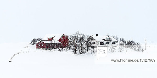 Lofoten Dorf an einem verschneiten Wintertag  Lofoten  Nordland  Arktis  Norwegen  Europa