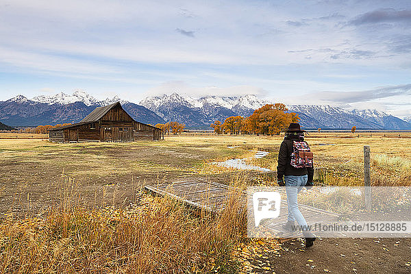 Woman at Mormon Row and Teton Range  Grand Teton National Park  Wyoming  United States of America  North America