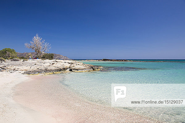 Blick über das klare türkisfarbene Wasser vom rosa Sandstrand  Insel Elafonisi  Elafonisi  Chania  Kreta  Griechische Inseln  Griechenland  Europa