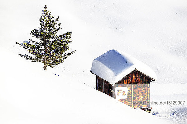 Traditionelle Hütte in der Winterlandschaft  Livigno  Valtellina  Lombardei  Italien  Europa