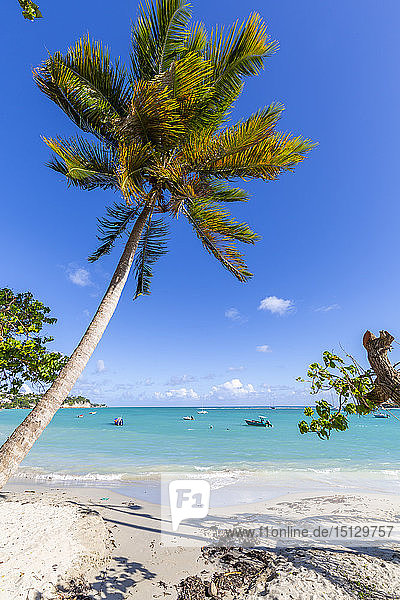 Strand La Datcha  Pointe-a-Pitre  Guadeloupe  Französische Antillen  Westindische Inseln  Karibik  Mittelamerika