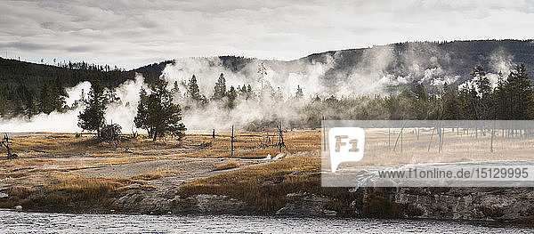 Yellowstone-Nationalpark  UNESCO-Welterbe  Wyoming  Vereinigte Staaten von Amerika  Nordamerika