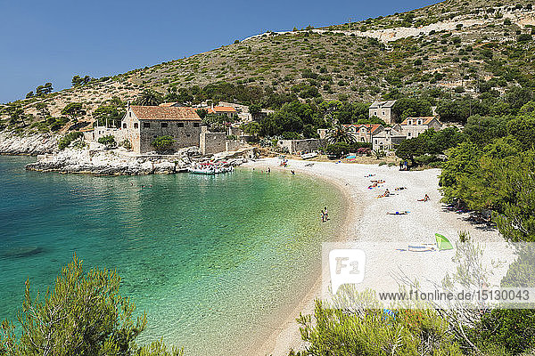 Bucht und Strand von Dubovica  Insel Hvar  Dalmatien  Kroatien  Europa