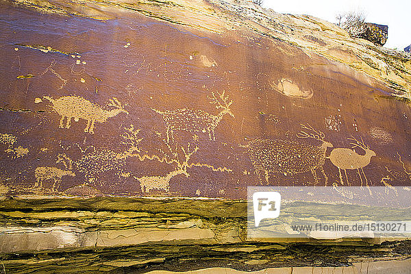 Nefertiti Petroglyphs Gray Canyon North of Green River Utah United States of America North America