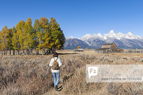 Mormon Row und Teton Range  Grand Teton National Park  Wyoming  Vereinigte Staaten von Amerika  Nordamerika