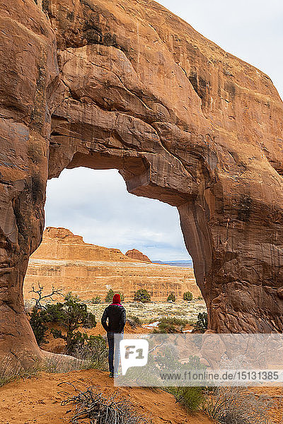 Arches National Park  Moab  Utah  Vereinigte Staaten von Amerika  Nordamerika