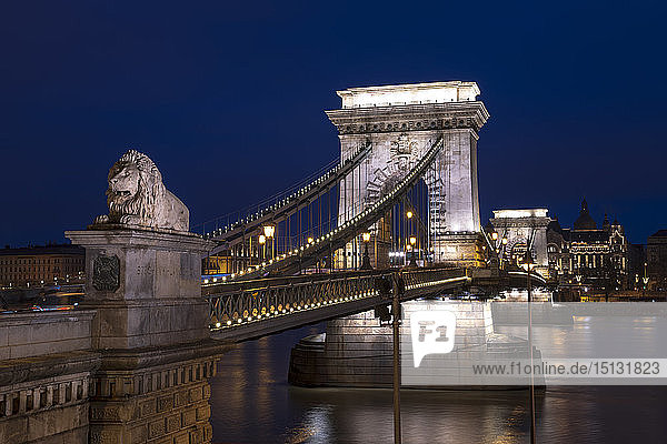 The Chain Bridge at the blue hour  Budapest  Hungary  Europe