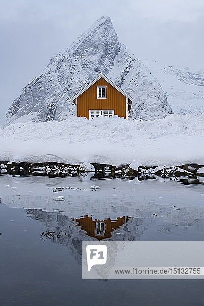 Gelbe Rorbuer-Hütte im Winter  Sakrisoy  Moskenesoya  Lofoten  Nordland  Arktis  Norwegen  Europa