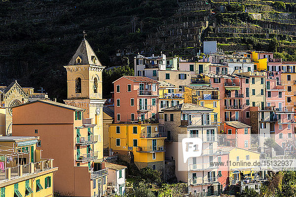 Kirche und traditionelle Häuser von Manarola  Cinque Terre  UNESCO-Weltkulturerbe  Ligurien  Italien  Europa