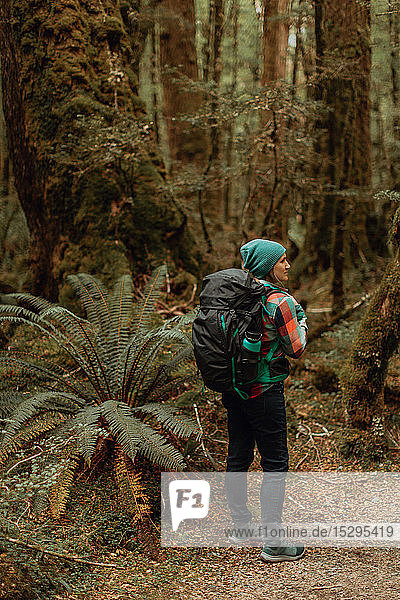 Wanderer erkundet Wald  Queenstown  Canterbury  Neuseeland