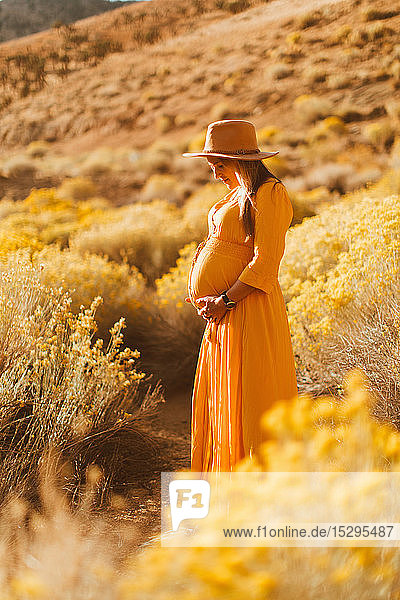 Schwangere Frau beim Wandern in Feldlandschaft  Kennedy Meadows  Kalifornien  USA