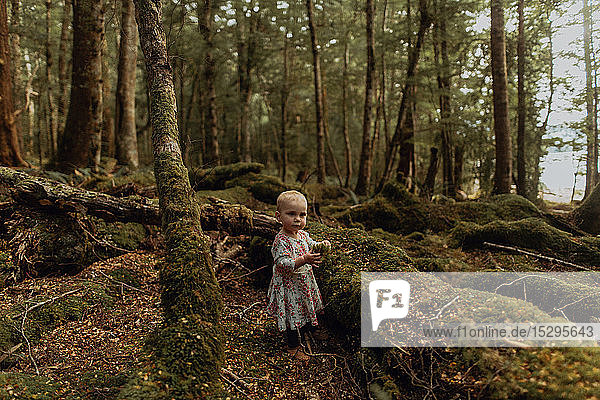 Baby girl exploring forest  Queenstown  Canterbury  New Zealand