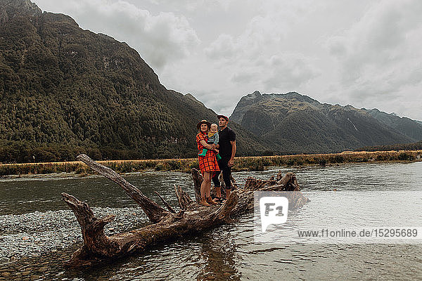 Parents and baby on fallen tree in lake  Queenstown  Canterbury  New Zealand