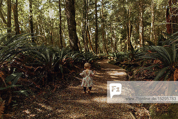 Baby girl exploring forest  Queenstown  Canterbury  New Zealand